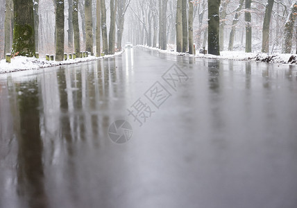 在奥斯特利茨和霍伦德的奥斯特利茨附近冬秋天的雪林中在柏油路和湿面反射图片