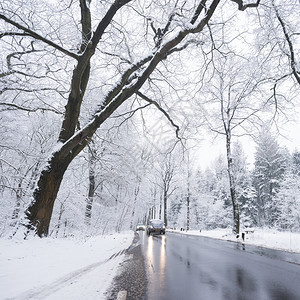 在奥斯特利茨和霍伦德的奥斯特利茨附近冬秋天的雪林中在柏油路和湿面反射图片