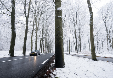 在奥斯特利茨和霍伦德的奥斯特利茨附近冬秋天的雪林中在柏油路和湿面反射图片