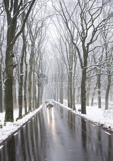 在奥斯特利茨和霍伦德的奥斯特利茨附近冬秋天的雪林中在柏油路和湿面反射图片