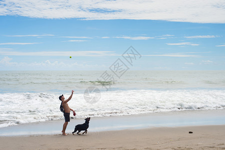 男人在海滩上和狗玩球图片