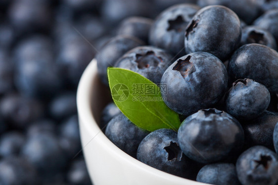 原生有机蓝莓白瓷碗叶色背景图片