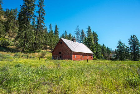 山牧场上的老木小屋背景图片