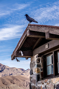 或乌鸦在死谷的老小屋上图片