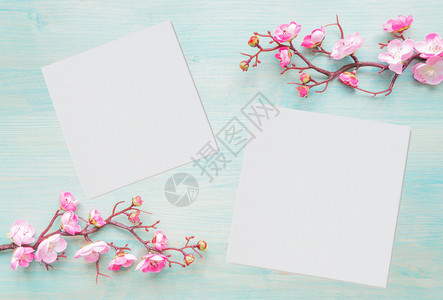 涂漆蓝板的抽象春季背景花樱枝的分支覆盖着粉红花两张白纸作为复制空间图片
