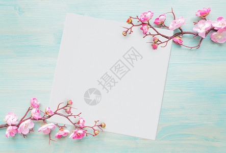 涂漆蓝板的抽象春季背景包括花樱枝的分支包括粉红花和白方空纸或带文字位置的画布图片