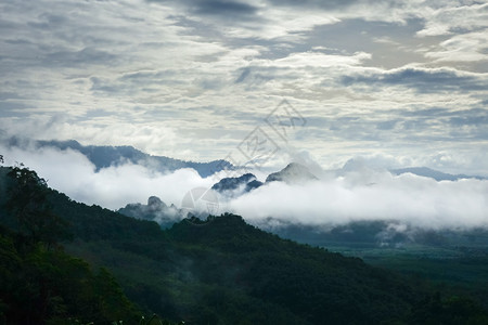 公园丛林景观泰国图片