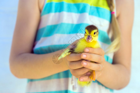 笑的小女孩抱着一只小鸭子图片