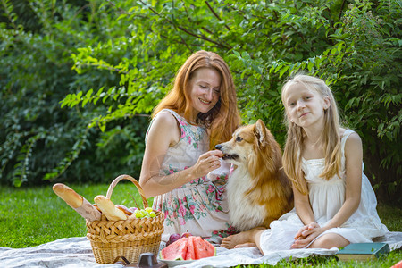 女儿和妈妈女儿和狗在野餐上合唱团背景