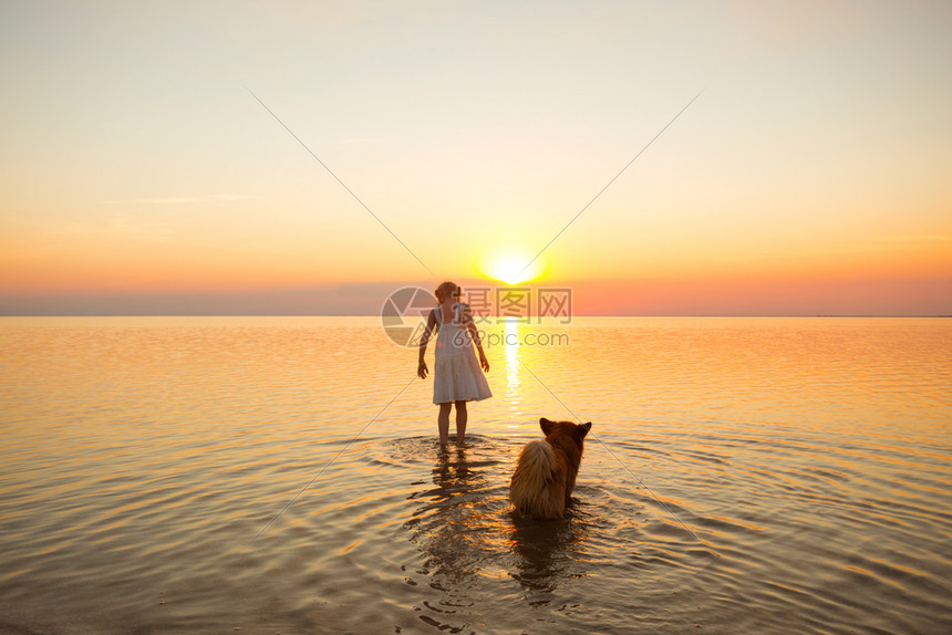 小女孩在日落时正带着一条狗在海边行走