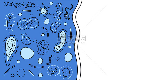 用于社交媒体的细菌胞横幅微生物收集矢量涂鸦风格构成图片