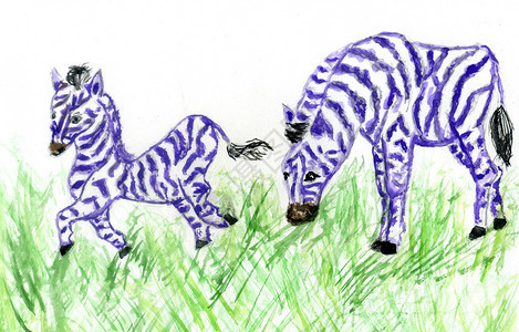 手画漫可爱动物紫斑马水彩画图片