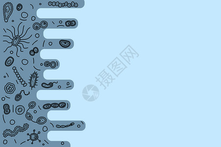 细菌胞背景模板机智微生物收集以及文本空间矢量涂鸦样式组成图片