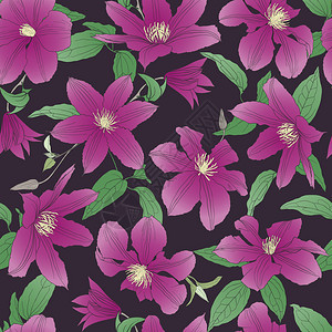 浪漫紫色花朵矢量背景图片