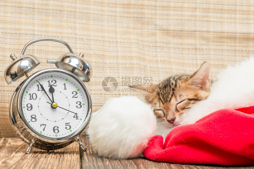 小猫咪睡得很香在圣塔帽里紧挨着回响闹钟