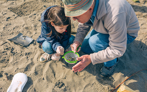 爷爷和孙女志愿者在海滩上拾取微塑料背景图片