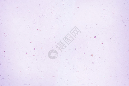 紫色的手工制纸布料作为背景图片