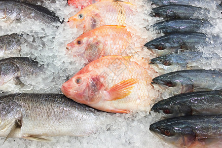 市场上的冰架鲜鱼自然高清图片素材
