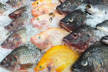 市场上的冰架鲜鱼新鲜的高清图片素材