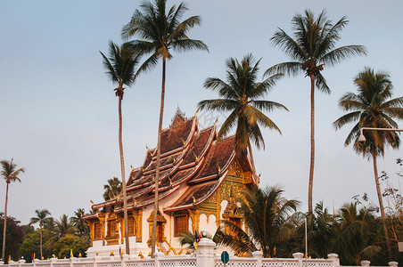 寺庙晨光琅勃拉邦老挝琅勃拉邦皇宫博物馆和horprabangtemplehall在椰子树下美丽而温暖的晨光背景