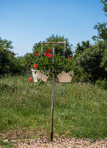 在乡间公路旁的两盆红花在金属架上放两盆红花图片