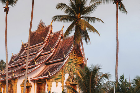 琅勃拉邦老挝琅勃拉邦皇宫博物馆和horprabangtemplehall在椰子树下美丽而温暖的晨光图片
