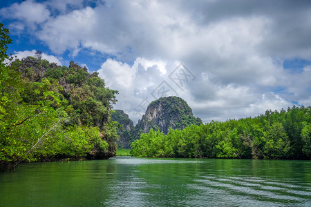 泰河沿岸邦Phang湾的红树林和Phang湾的悬崖图片