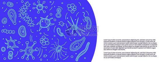 带有细菌胞构成的社交媒体横幅模板矢量dole样式背景图片