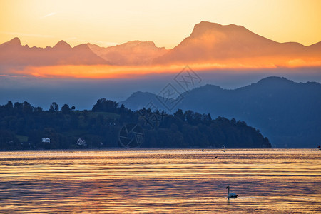 清晨金色风景瑞士的图片