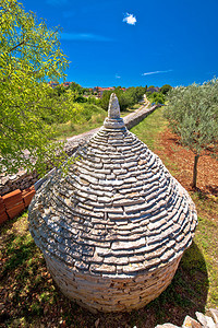 橄榄树田和传统的IstrianKzu石屋风景Croati岛地区图片