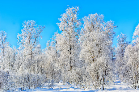 美丽的冬日风景图片