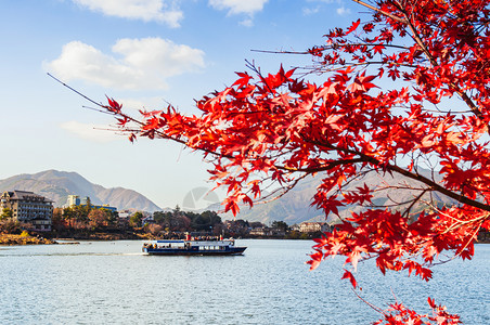 冬季美丽的湖川口子旅游的观光船有选择聚焦点红秋的山坡叶前景YamnshiJapn图片