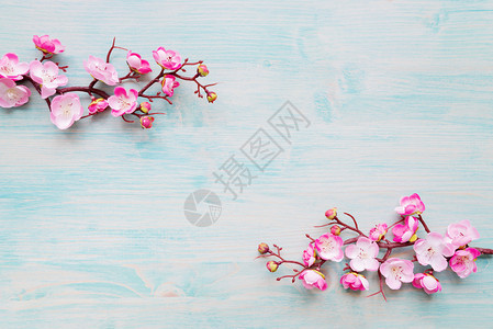 涂漆蓝板的抽象春季背景花樱枝的分支覆盖着粉红花图片