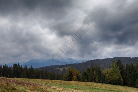 阴天多云的喀尔巴阡山图片