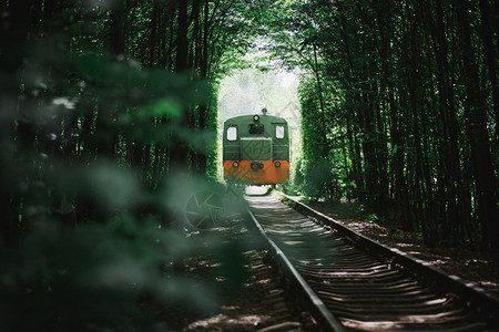 森林隧道 乌克兰火车在夏天去爱的隧道背景