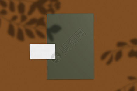 利用空白商业名卡和纸自然照明覆盖的阴影以有机和植物风格的最小布局模拟品牌身份图片