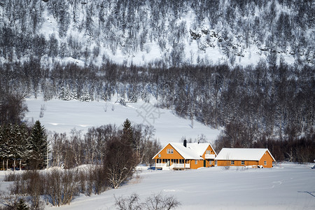 美丽的景色传统挪威黄木屋和远处的山地森林高清图片素材