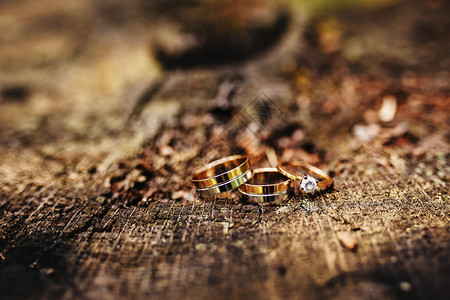 美丽的结婚戒指躺在木质的表面背景声明爱春天结婚卡情人节和一天问候结婚戒指礼日的细节美丽结婚戒指在木质表面背景情人节和一天结婚戒指图片