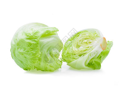 白色背景的绿冰山生菜图片