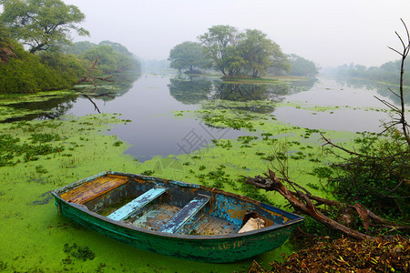 在湖中独木舟有苔布拉特普尔rajsthnIdi图片
