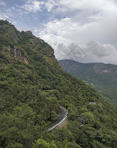 在阿玛拉里山或纳马又称大象西海茶图片