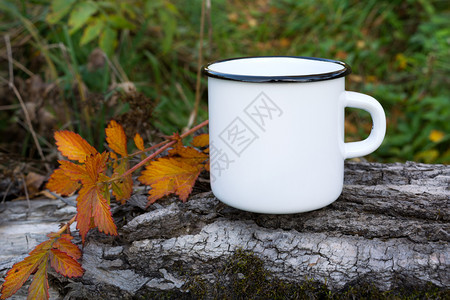 白野营火咖啡杯配有秋橙叶空杯子用于设计宣传图片