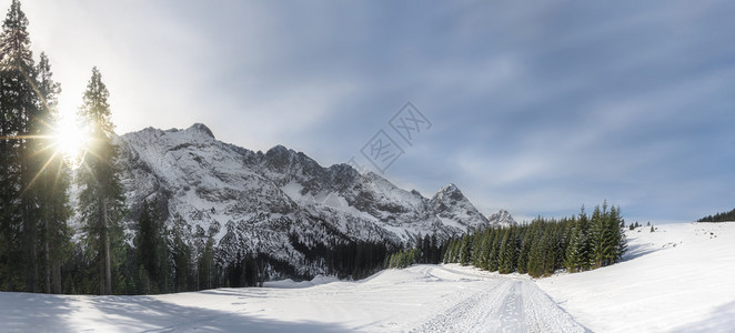阳光灿烂的冬季全景山峰雪路覆盖树木在阳光明媚的一天图片