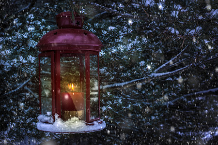 圣诞灯晚上里面有玻璃和蜡烛晚上到松树灯周围下雪夜晚有花飞翔图片