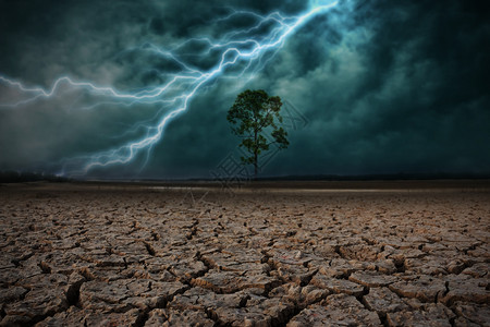 土到地面干燥裂开大树雷暴图片