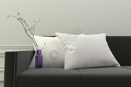 黑色沙发上的白枕头和植物图片