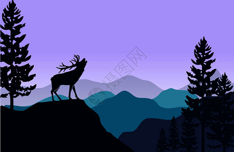 平坦的山地景观坡上鹿和松树图片