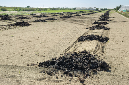 分散在堆积地上的农业用自然肥料土壤沃概念农田和粪肥生物态土壤概念自然肥料的高度生长概念图片