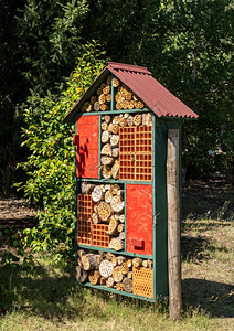 建造鸟类和昆虫旅馆或花园中的家有钻树干和枝鸟用干砖头和其他物品制成的昆虫旅馆图片