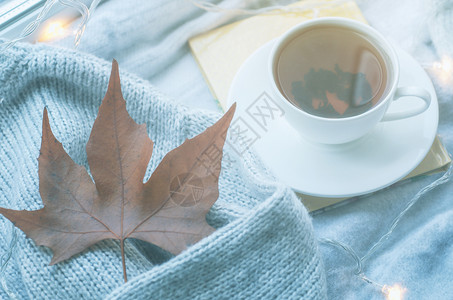 寒冷的冬天仍然有生命一杯热茶和本书窗台上贴着温暖的格子从外面排雪图片
